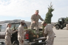 Trees for Troops to deliver 15,000 to 17,000 Real Christmas Trees in 2008