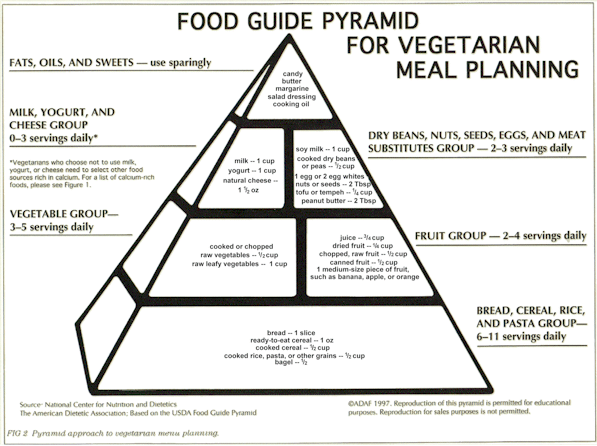 ADA FOOD GUIDE PYRAMID (91k)