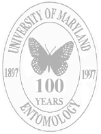 1897-1997.  UMD. 100 years of Entomology
