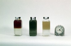 Oil/Water Sample 42 Seconds After Mixing