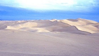Algodones dunes