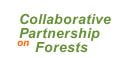 Collaborative Partnership on Forests
