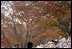 Vice President Dick Cheney stands with Major General Swan, Friday, Nov. 11, 2005, as he places a wreath during Veterans Day ceremonies at Arlington National Cemetery in Arlington, Va.