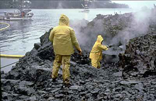 Shoreline cleanup crew attempting to use high-pressure, hot water-washing to clean an oiled shoreline