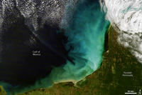 MODIS image of sediment off the Yucatan Peninsula.