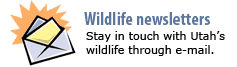 Wildlife newsletters