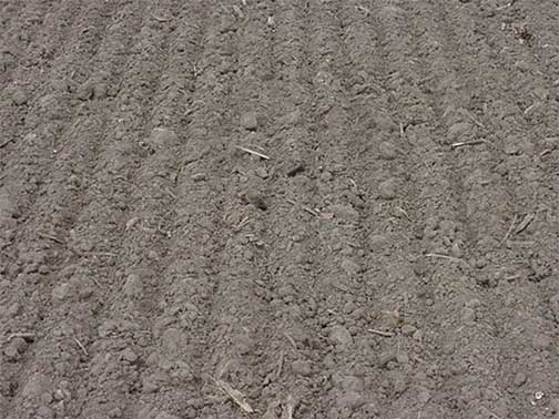 Firm seedbed