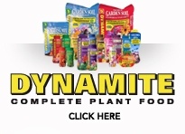 Dynamite Plant Food
