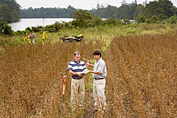 Photo: ARS soil scientist Martin Locke. (left) and biologist Wade Steinriede examine a soil sample from a crop field next to a lake. Link to photo information