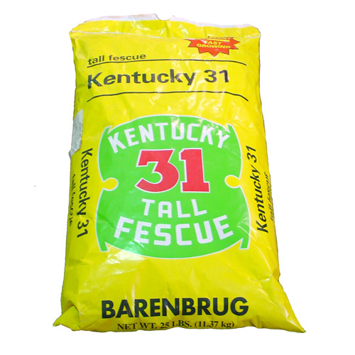 Kentucky 31 Tall Fescue Grass Seed (25 lbs)