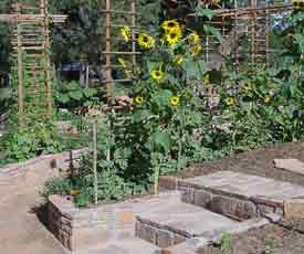 rockwalls in the formal garden at giannangelo farms southwest