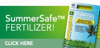 SummerSafe Fertilizer