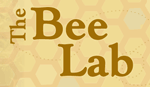 Bee Lab Logo