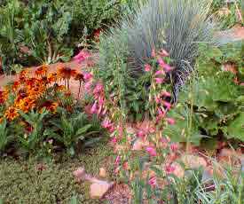 one of the organic perennial and sustainable garden areas