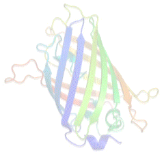protein graphic