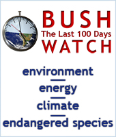 Bush Regulatory Watch