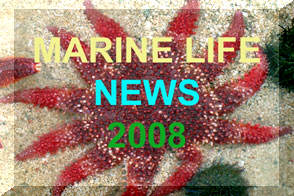 Link to Marine Life News 2008