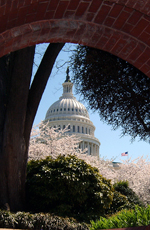 Arrivals at the Capitol Grounds