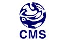 Click the CMS logo to return the main entry page