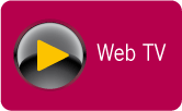 Web-TV