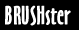 BRUSHster