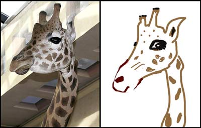 giraffe and cartoon
