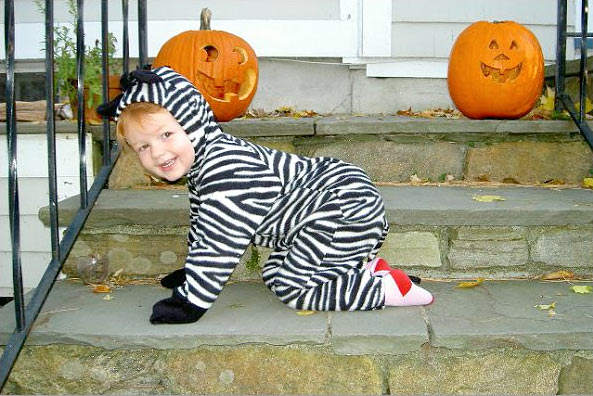 halloween costume - zebra