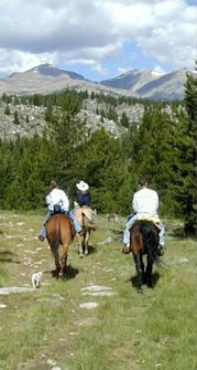 horseback riders