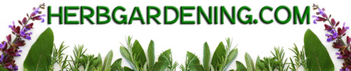 HerbGardening.com provides how-to information about growing culinary and medicinal herbs in the garden, greenhouse, and home.