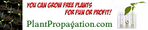 PlantPropagation.com provides how-to information about seed starting and plant propagation techniques.