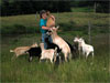 Tucker Meadow Goat Farm, Earltown, Nova Scotia