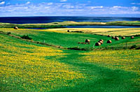 Atlantic Canadian rural landscape