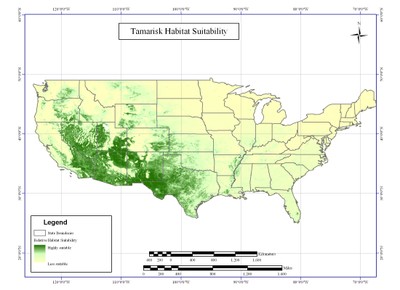 National map of Saltcedar habitat