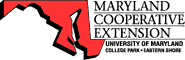 extension logo