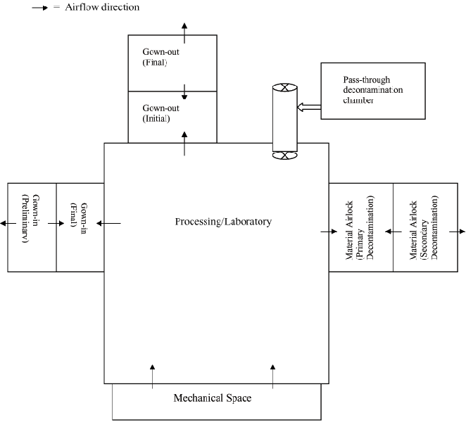 Spore-forming Manufacturing flowchart