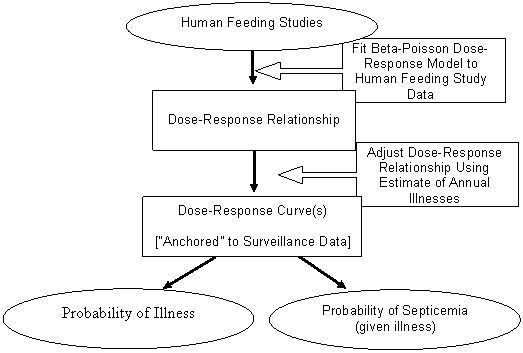 Figure III-1. Schematic Representation of the Development of the Vibrio parahaemolyticus Dose-Response Model