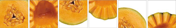 pictures of melons