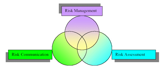 Three overlapping circles describe the interrelationships among the three components of risk analysis.
