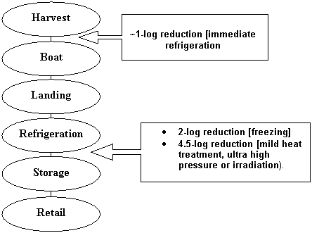 Figure VI-1. Schematic Representation from Harvest to Retail Showing Steps at which Evaluated Mitigations Occur