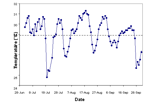 Image of Figure A5-2. Temporal Pattern of Day-to-Day Variation of MiddayWater Temperature Profile for Dauphin Island, AL (NBDC, July - Sept 1997)
