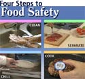 2002 logo - Four Steps to Food Safety