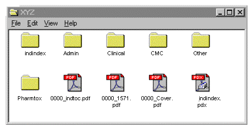 Computer screen showing main file folder described in Section IV