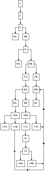 Flow diagram of import procedure steps