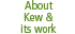 About Kew and its work