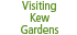 Visiting Kew Gardens