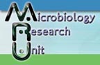 Microbiology Research Unit logo image link to Microbiology Research Unit main page