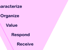 pink triangle:  characterize, organize, value, respond, receive