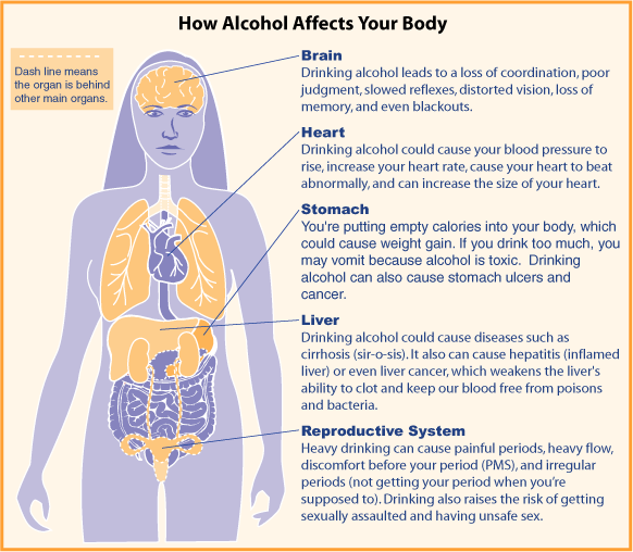 diagram of how alcohol affects the body