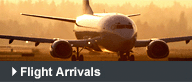 Flight Arrivals
