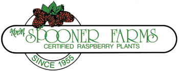 Ken M. Spooner Farms Certified Raspberry Plants. Your 

wholesale raspberry plant resource.